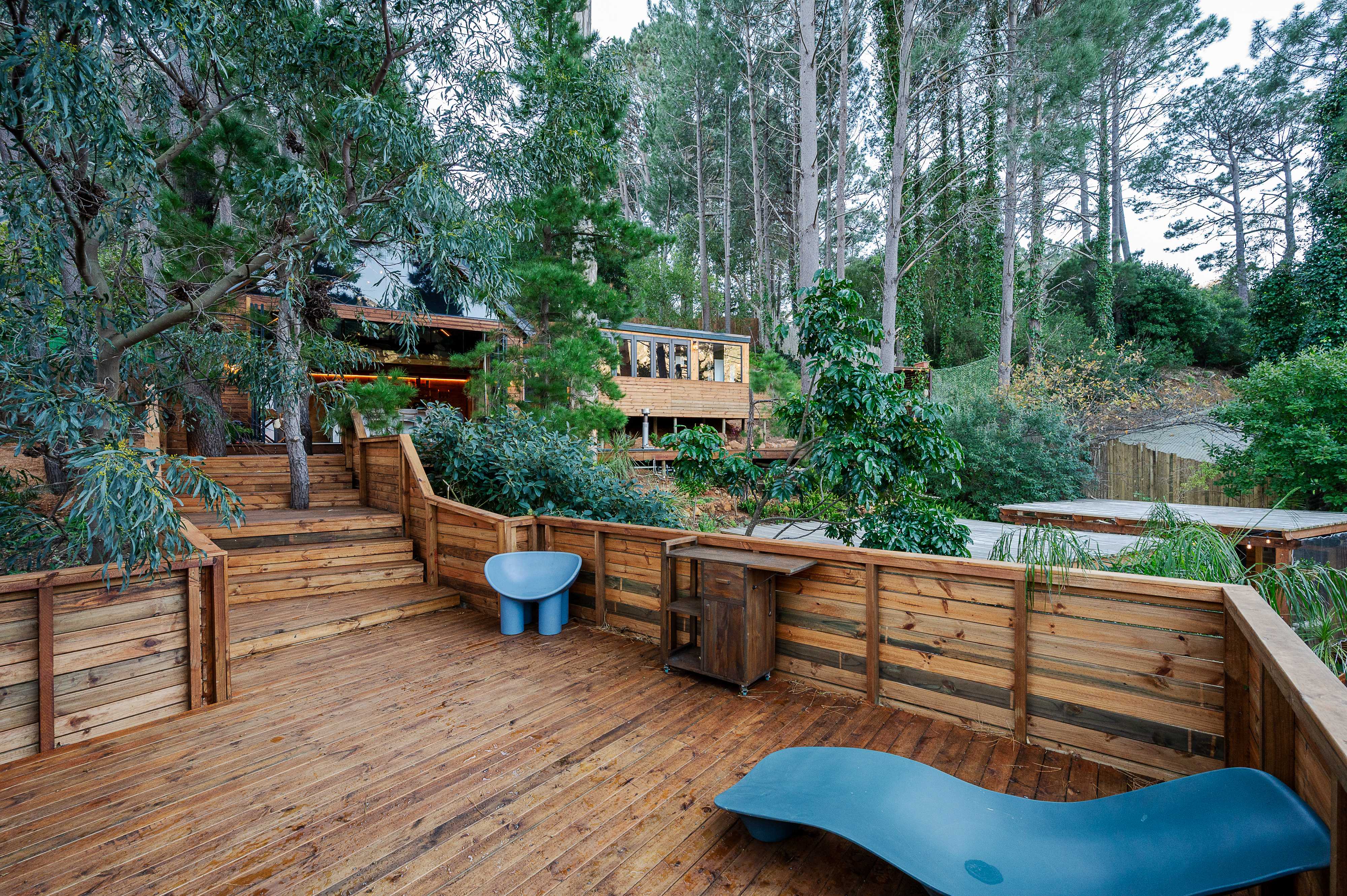 Multi level timber decking and terrace set among the trees