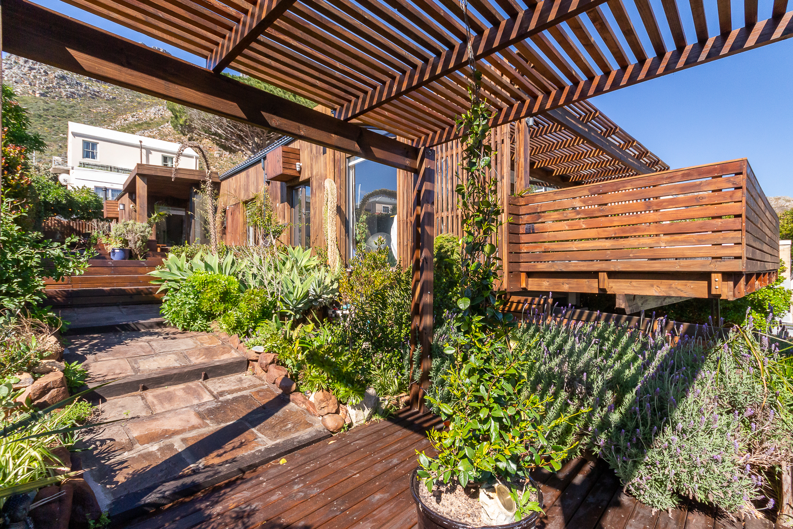 Timber pergola and deck with a stone garden path and lavender planting